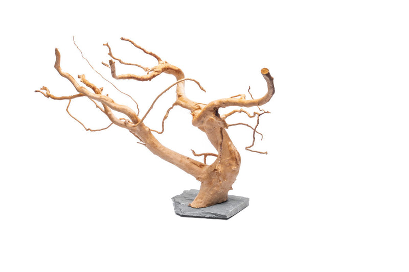 Unshardscape Spiderwood driftwood piece resting on a dark slate surface, showcasing natural, twisted wood texture for decorative use.