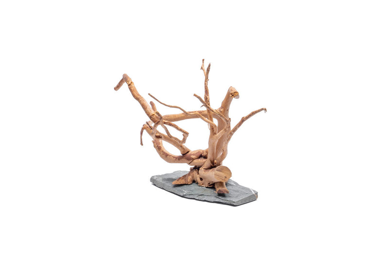 Unshardscape spiderwood driftwood piece resting on dark slate surface, natural wood texture and organic shape visible.