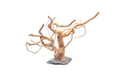 Unique spiderwood driftwood piece resting on a slate surface, natural texture and intricate branch structure, by UNSHARDSCAPE.