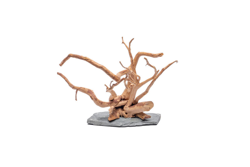 Unshardscape Spiderwood driftwood pieces arranged on a dark slate surface for natural decorative display.