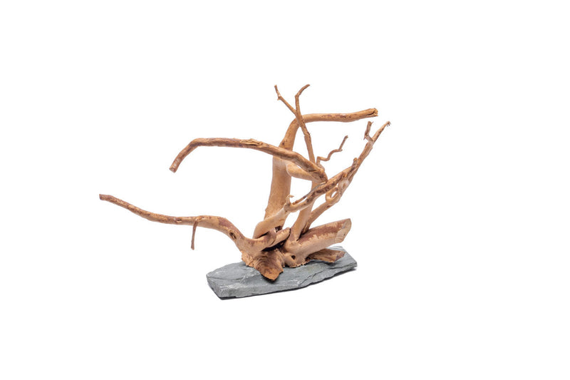 Unshardscape driftwood spiderwood piece resting on a slate surface, showcasing natural, intricate wood textures and organic shapes.