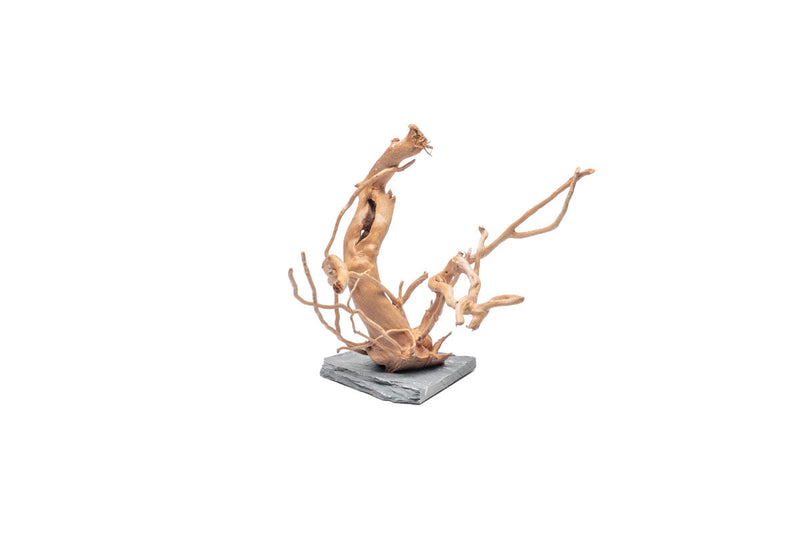 Unshardscape Spiderwood driftwood arranged on dark slate surface, showcasing natural twisted wood for decorative or artistic use.