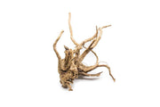 Spiderwood Driftwood - Buce Plant