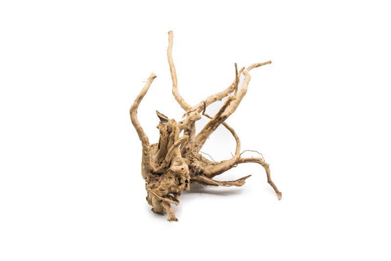 Spiderwood Driftwood - Buce Plant