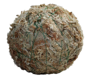 Studio Aquatica Wabi Kusa Substrate Ball Wabikusa - Buce Plant