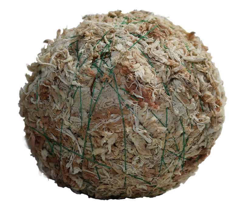 Studio Aquatica Wabi Kusa Substrate Ball Wabikusa - Buce Plant