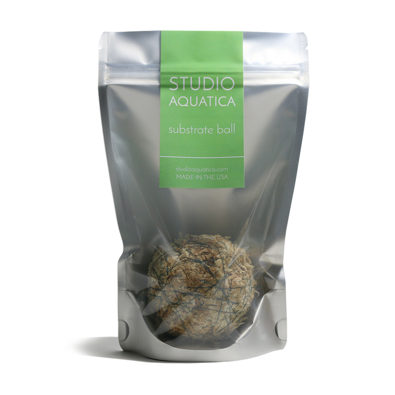 Studio Aquatica Wabi Kusa Substrate Ball Wabikusa - Buce Plant