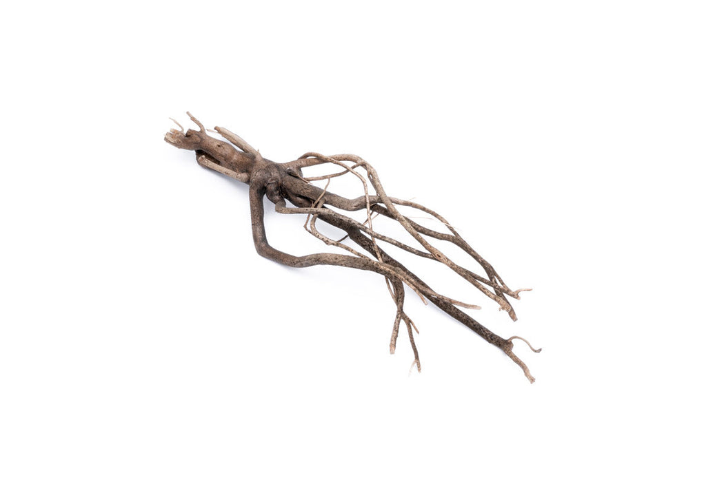 Tangled Tree Root Driftwood