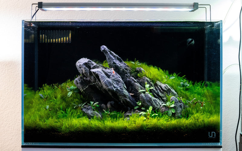 Twinstar LED - B Line Aquarium Light Fixture Lighting - Buce Plant