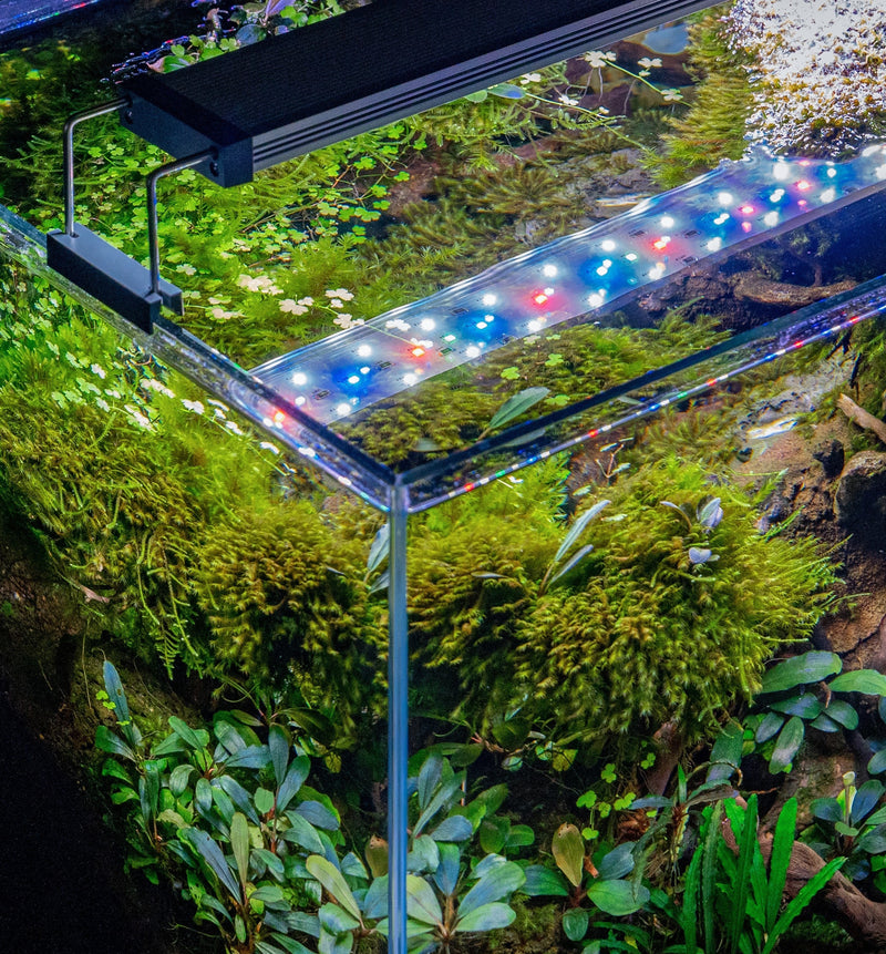 Twinstar LED - B Line Aquarium Light Fixture Lighting - Buce Plant