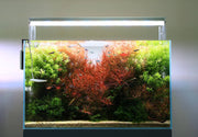 Twinstar LED E Series VR IV aquarium light fixture providing bright, energy-efficient lighting for freshwater or marine tanks.