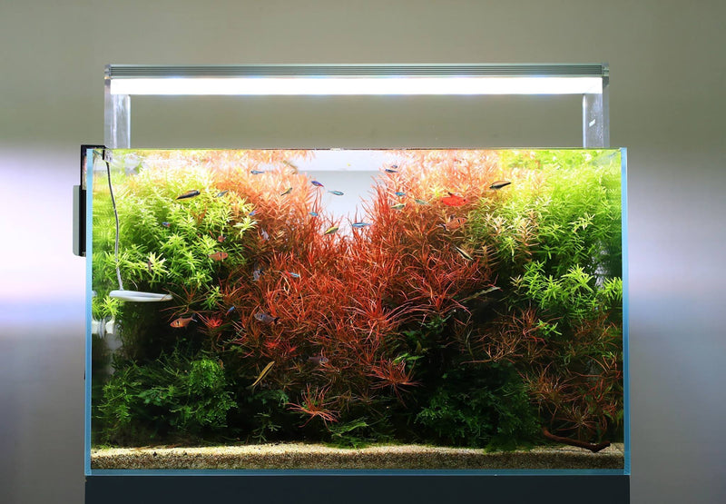 Twinstar LED E Series VR IV aquarium light fixture providing bright, energy-efficient lighting for freshwater or marine tanks.