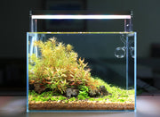 Twinstar LED E Series VR IV Aquarium Light Fixture, sleek lighting for freshwater and marine aquariums.