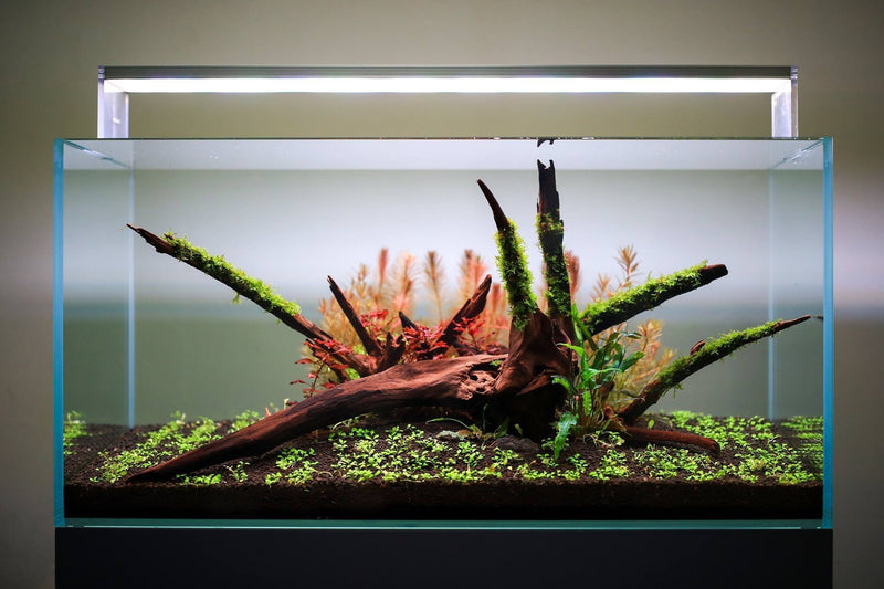 Twinstar E Series VR IV aquarium LED light fixture showcasing sleek design and adjustable lighting for marine tanks.