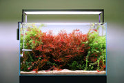 Twinstar LED S Series Aquarium Light Fixture providing bright, energy-efficient lighting for freshwater or marine aquariums.