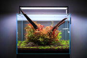Twinstar LED S Series aquarium light fixture providing bright, energy-efficient lighting for fish tanks.