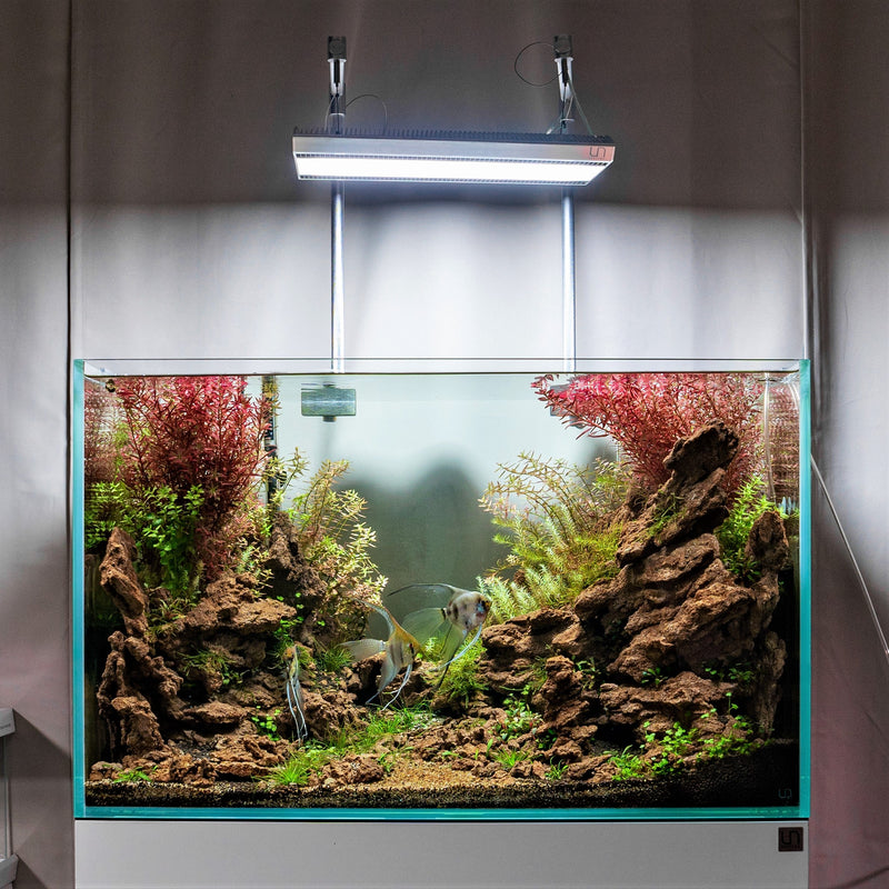 Ultum Nature Systems Titan 1 LED Light Lighting - Buce Plant