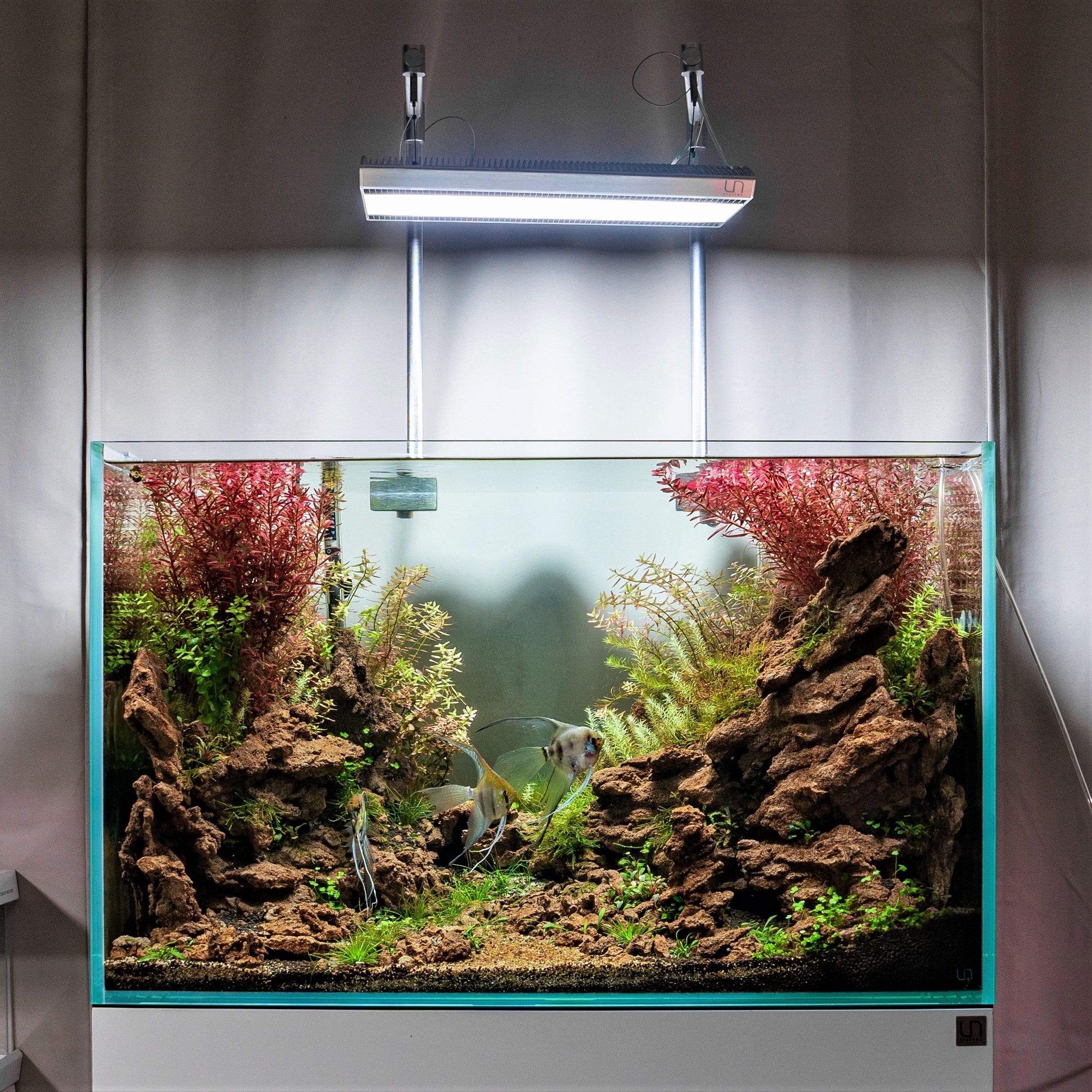 Ultum Nature Systems Titan 1 LED Light — Buce Plant