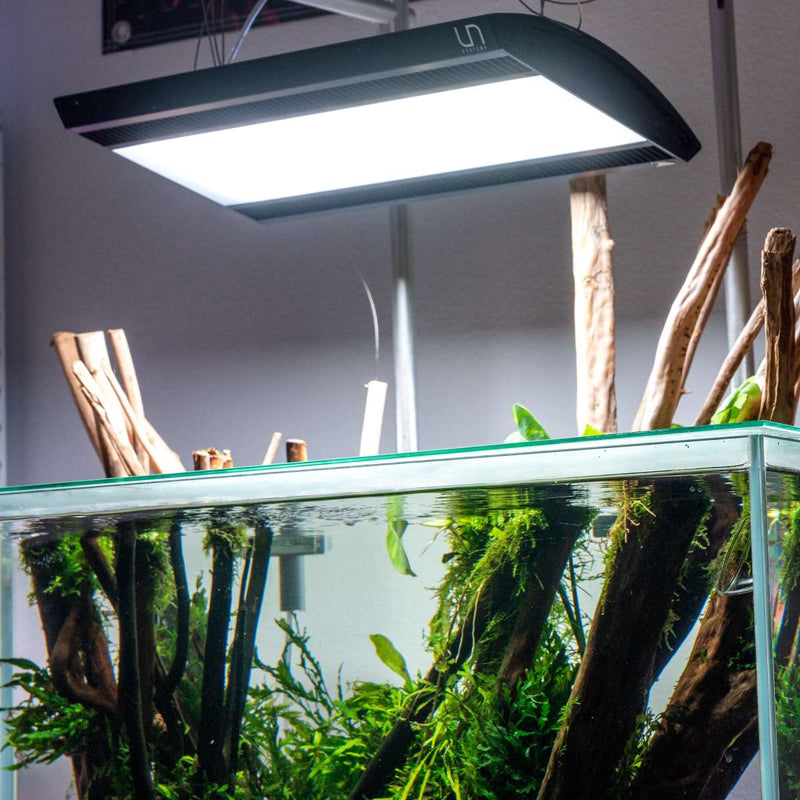 Ultum Nature Systems Titan 1 LED Light Lighting - Buce Plant