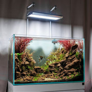 Ultum Nature Systems Titan 1 LED Light Lighting - Buce Plant