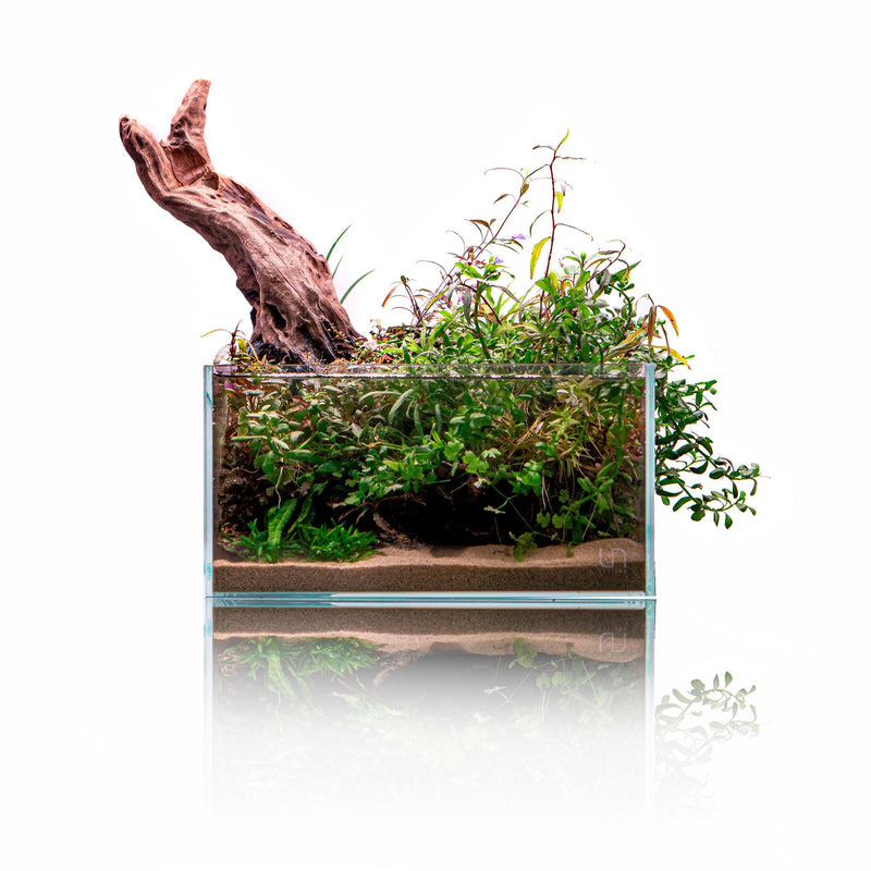 Ultra Clear Rimless Aquarium by Ultum Nature Systems, UNS 25S, 2.1-gallon tank with sleek, modern design and transparent glass.