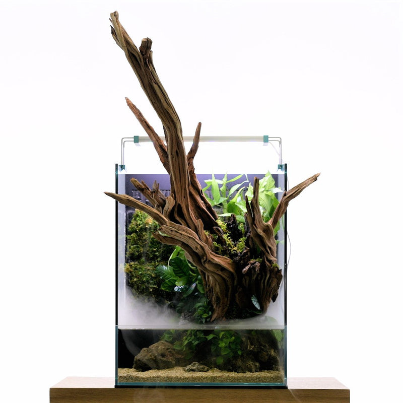 Rimless UNS 35E Foresta Integrated Paludarium V2 by Ultum Nature Systems with lush plant and aquatic habitat setup.
