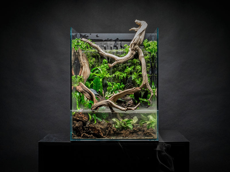 Rimless UNS 35E Foresta Integrated Paludarium V2 tank by Ultum Nature Systems with lush aquatic and terrestrial plants visible inside