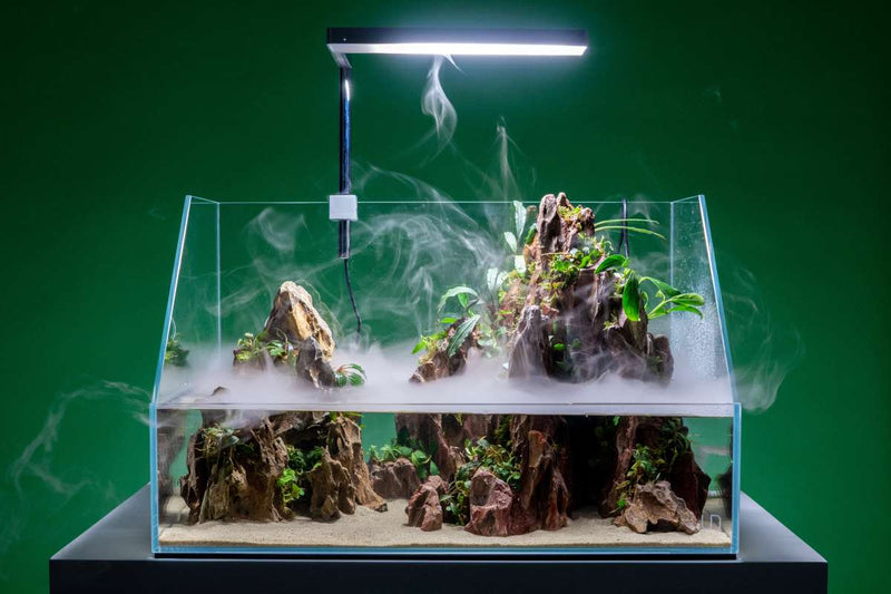 Ultraclear UNS 45E Paludarium Enclosure Kit, rimless tank by Ultum Nature Systems, showing transparent glass with sleek edges.