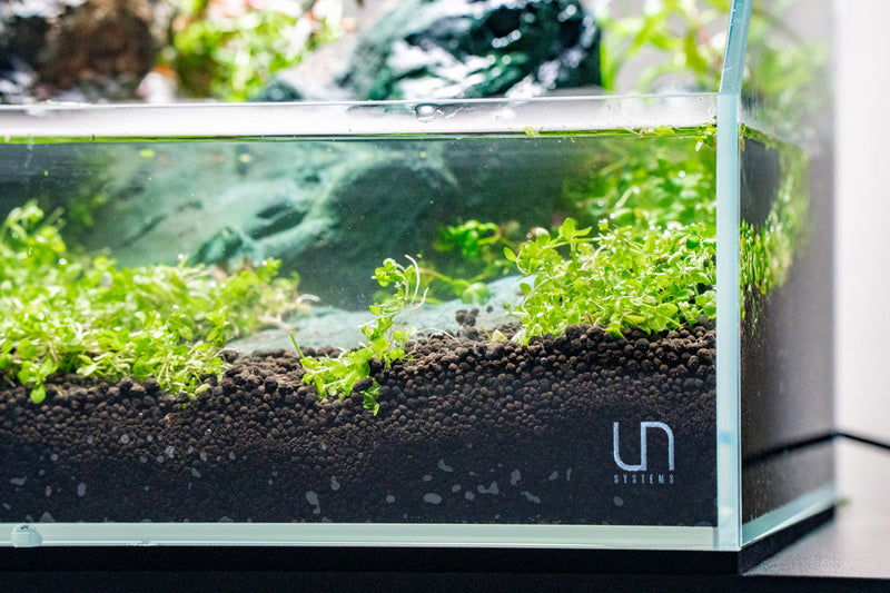Clear glass UNS 5E 2.1-gallon ultra-clear rimless paludarium by Ultum Nature Systems, showcasing the open-top tank design.