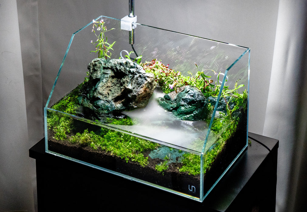 UNS Glass Aquarium Stand for Planted Aquariums — Buce Plant