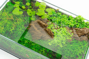 Ultra clear 2.5-gallon rimless aquarium by Ultum Nature Systems, showcasing a sleek, minimalist design with transparent glass.