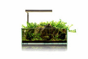 Clear 2.5-gallon UNS 5S Rimless Aquarium by Ultum Nature Systems, showcasing the sleek, ultra-clear glass design.
