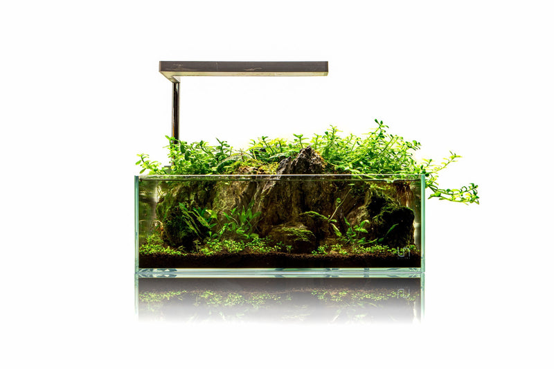 Clear 2.5-gallon UNS 5S Rimless Aquarium by Ultum Nature Systems, showcasing the sleek, ultra-clear glass design.