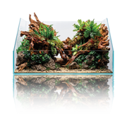 Clear glass UNS 60E Rimless Paludarium by Ultum Nature Systems showing the 6.8-gallon ultra-clear tank with open top design.