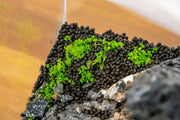 UNS Controsoil Black Substrate - Buce Plant