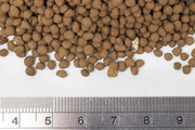 UNS Controsoil Brown Substrate - Buce Plant