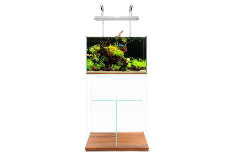Clear glass aquarium stand by Ultum Nature Systems with sturdy frame and sleek design for supporting fish tanks.