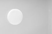 Ultra clear rimless 6.8-gallon UNS 60E Paludarium tank by Ultum Nature Systems, showcasing its sleek, modern design.