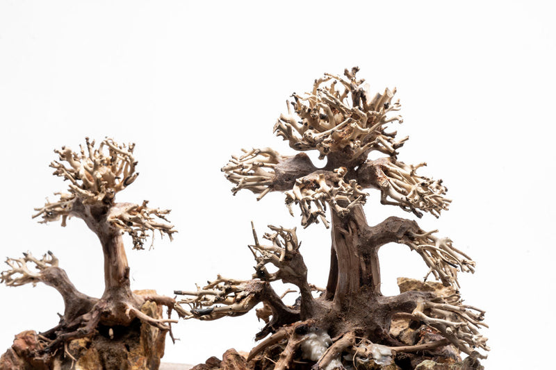 UNS Shardscape Strata Pro Type 10 driftwood sculpture with textured, natural wood finish, showcasing intricate grain details.