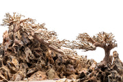 UNS Strata Pro Type 14 driftwood skateboard deck by UNSHARDSCAPE, featuring natural wood grain and sleek design.
