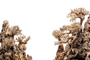 UNS Shardscape UNS Strata Pro Type 15 driftwood sculpture with textured, natural wood finish and intricate design details.