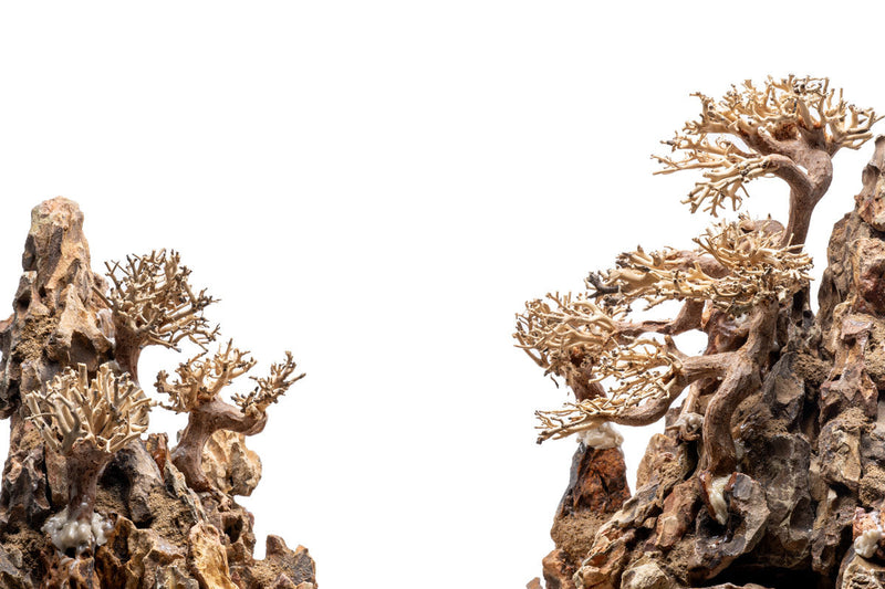 UNS Shardscape UNS Strata Pro Type 15 driftwood sculpture with textured, natural wood finish and intricate design details.