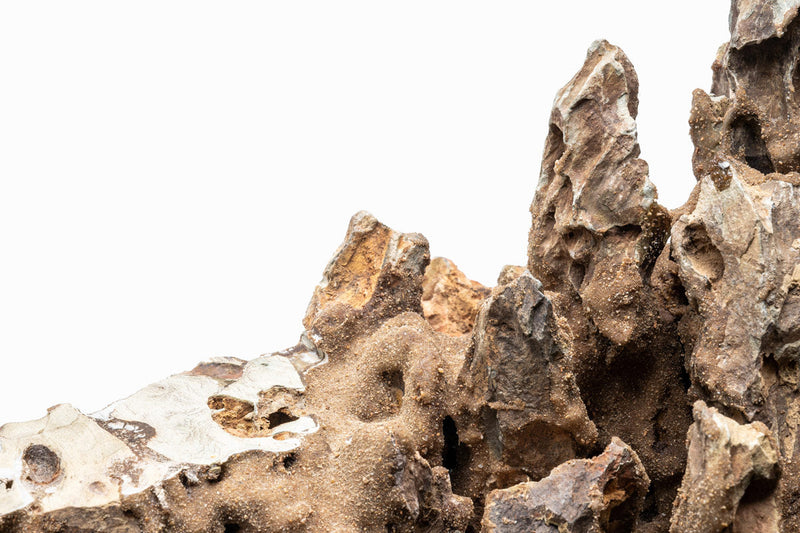 UNS Strata Pro Type 6 Stone - Buce Plant