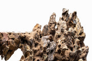 UNS Strata Pro Type 6 Stone - Buce Plant