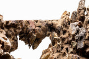 UNS Strata Pro Type 6 Stone - Buce Plant