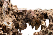UNS Strata Pro Type 6 Stone - Buce Plant