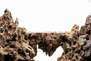 UNS Strata Pro Type 6 Stone - Buce Plant