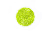 Utricularia Graminifolia Aquatic Farmer Tissue Culture Aquatic Plant - Buce Plant