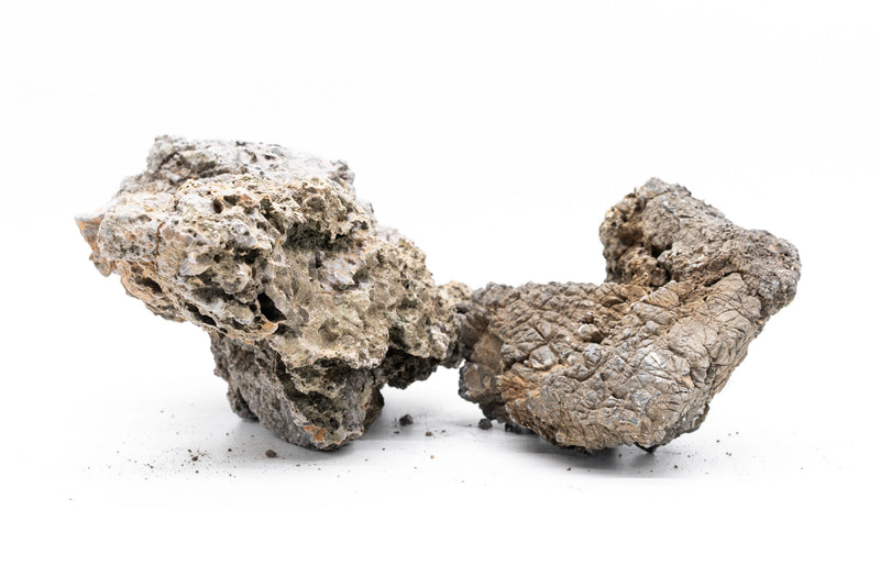 Assorted Rock Box Hardscape - Buce Plant